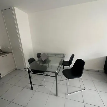 Appartement T2 Meuble En Hypercentre Annemasse